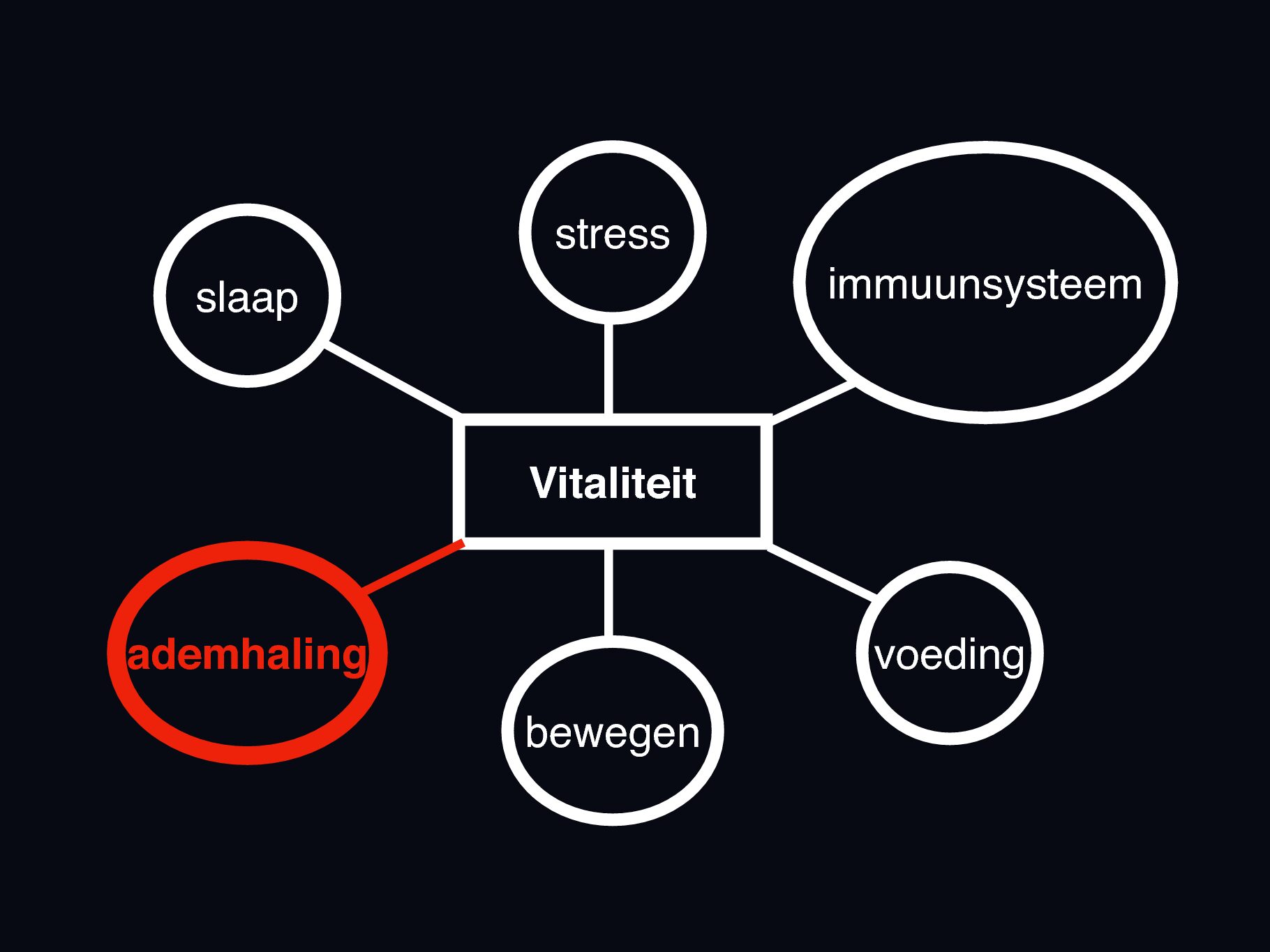 6domeinen dnk ademhaling