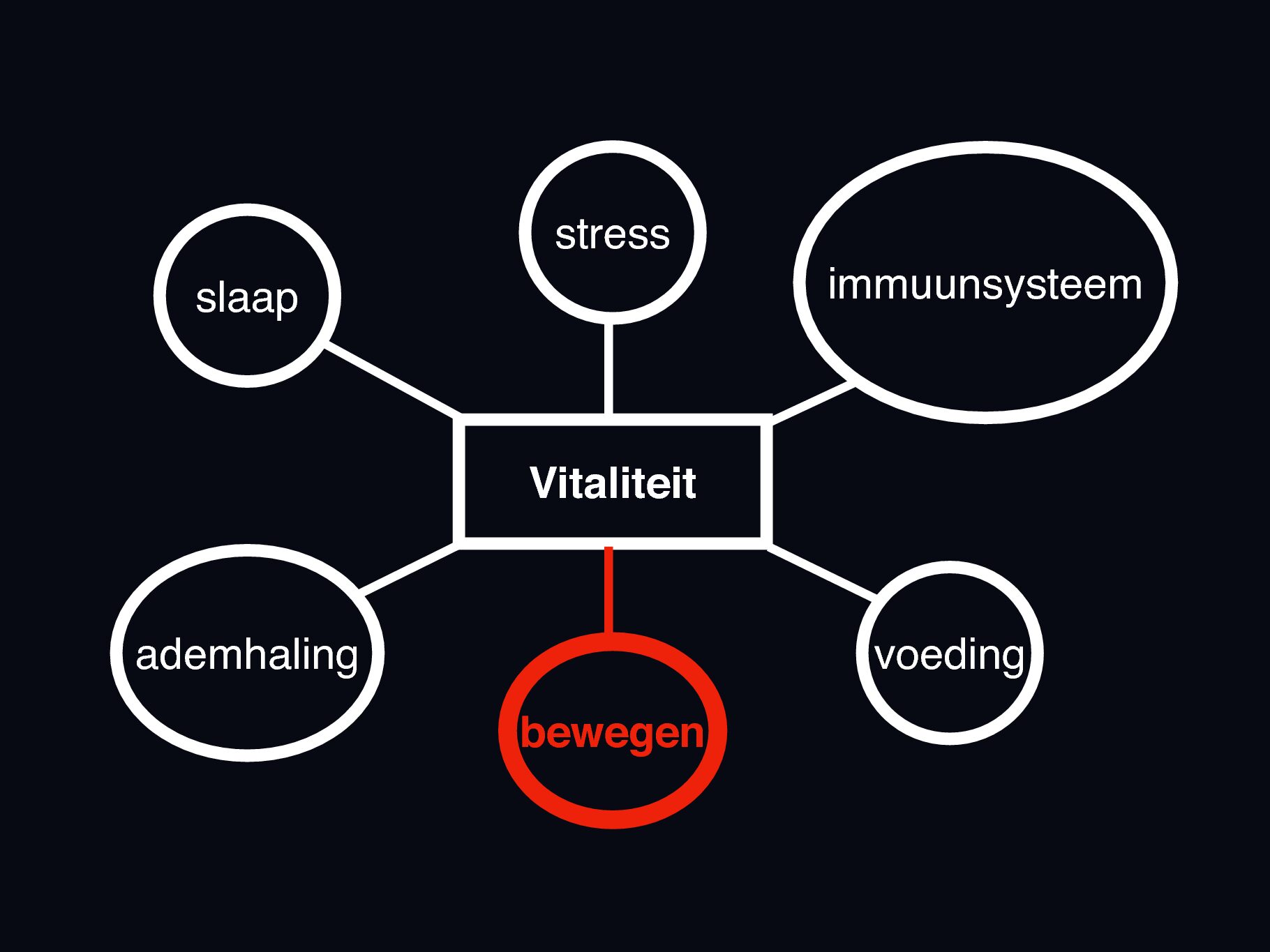 6domeinen dnk bewegen