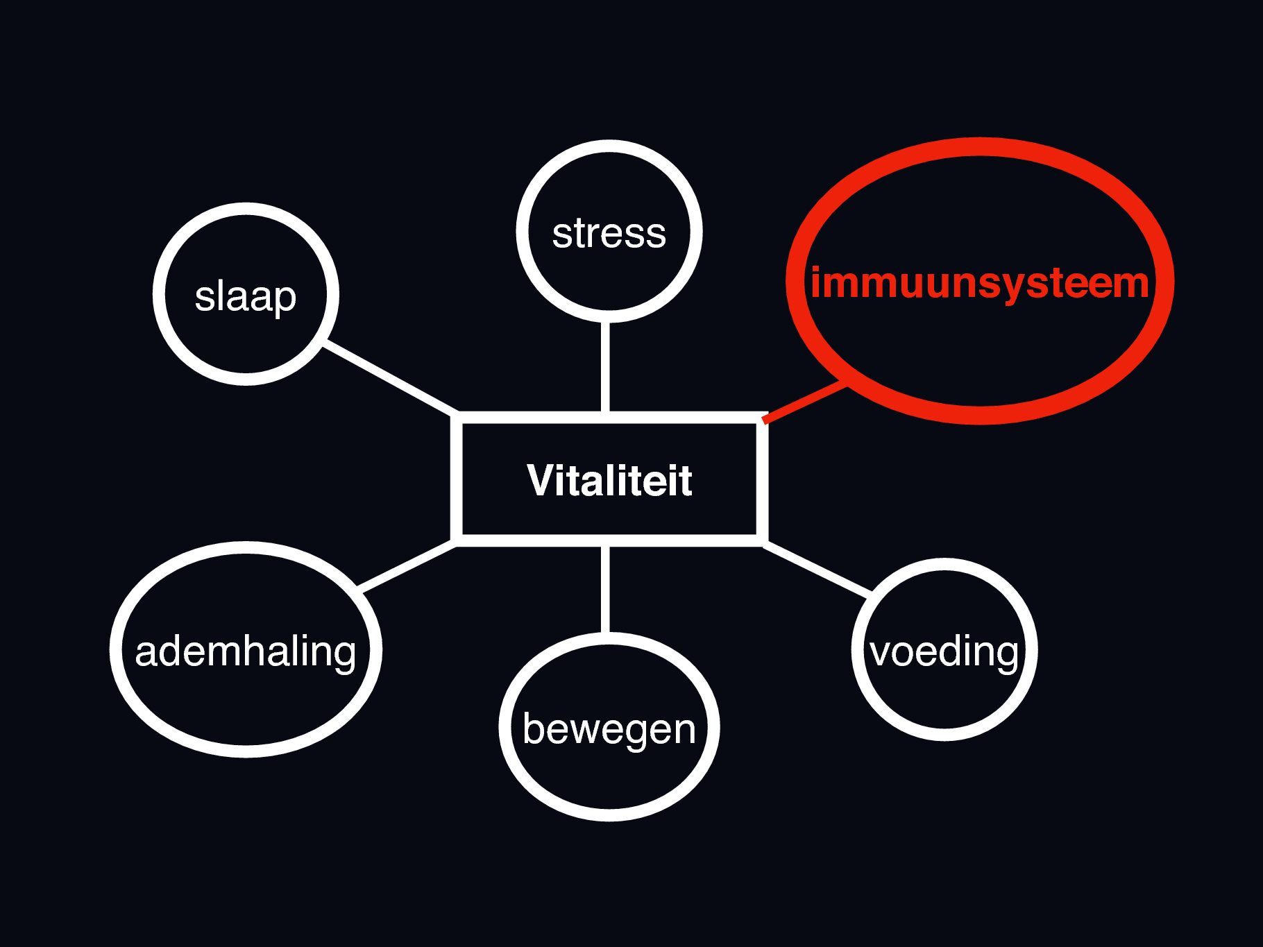 6domeinen dnk immuunsysteem