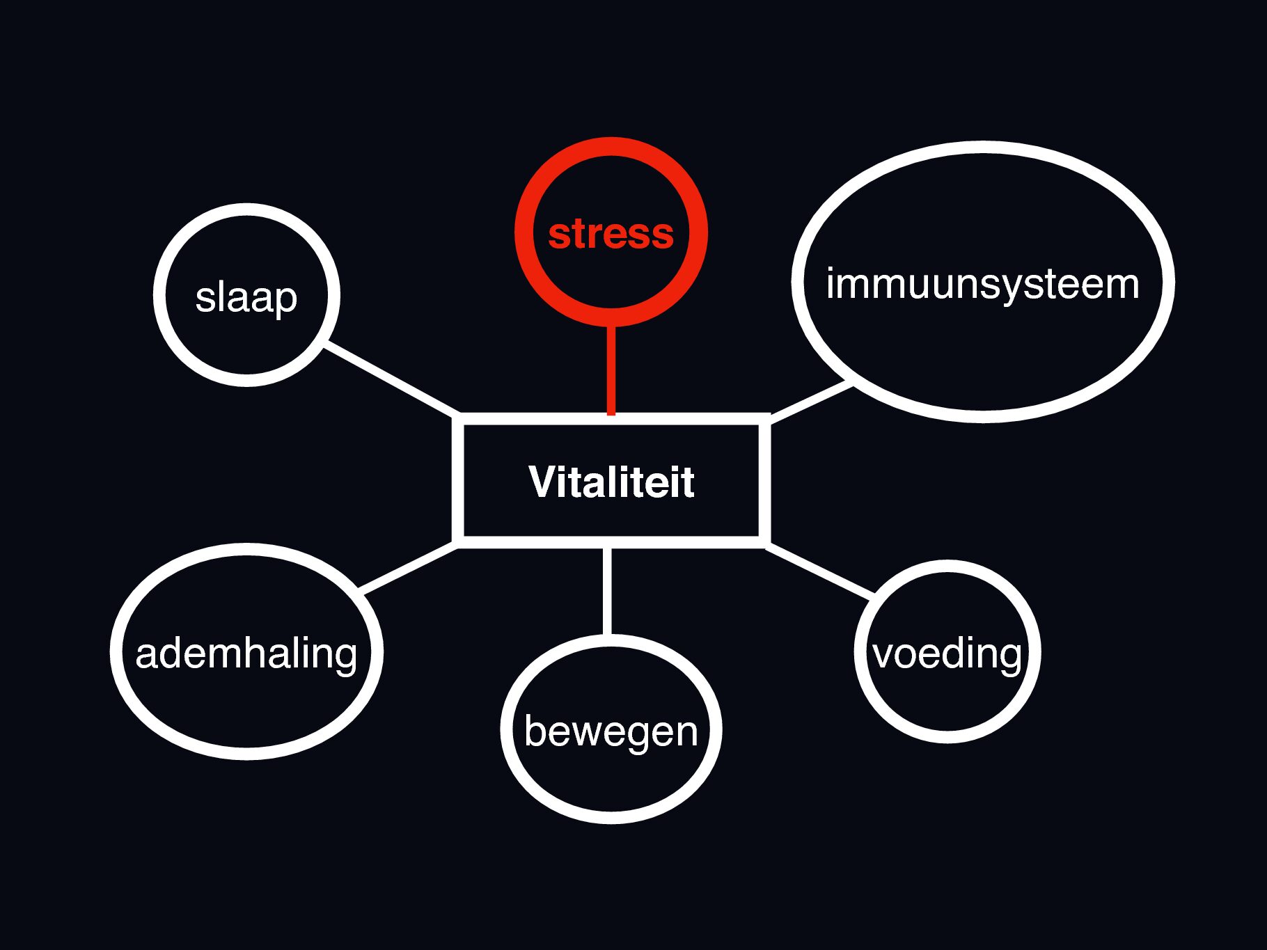 6domeinen dnk stress