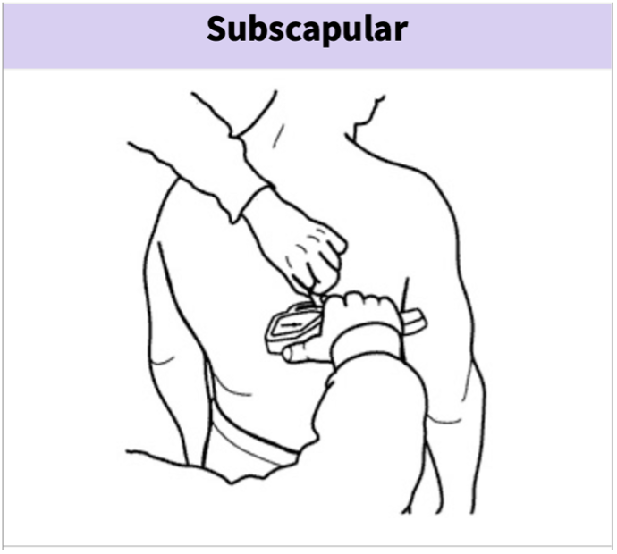 Schouderblad